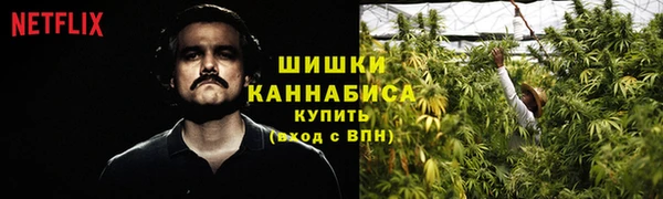 СК Вязьма