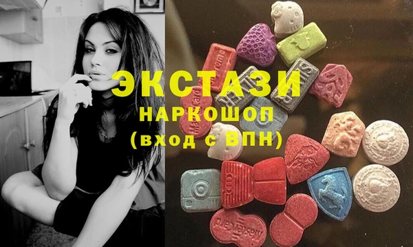 СК Вязьма