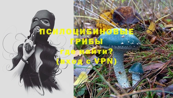 spice Вяземский