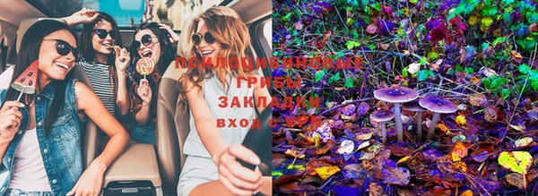 гашик Горняк
