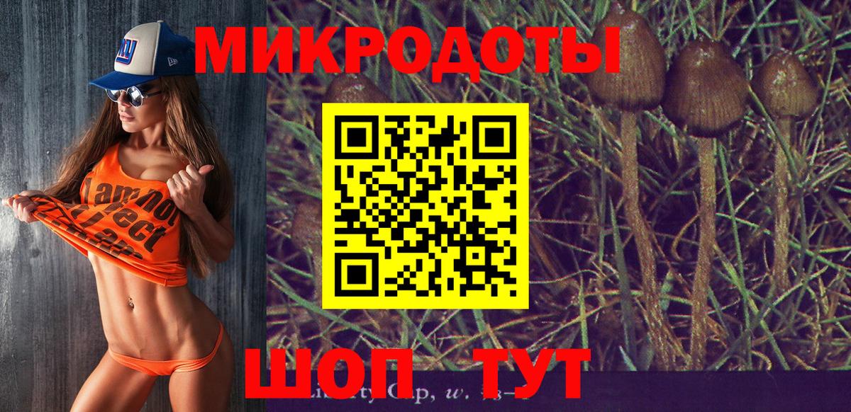 Медногорск  Галлюциногенные грибы Magic Shrooms  Псилоцибиновые грибы Psilocybe  Вход с VPN 