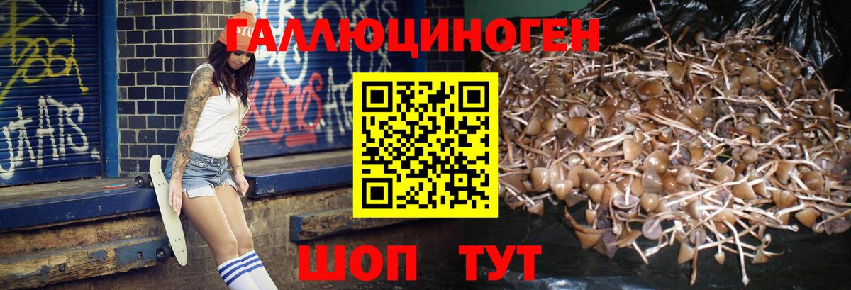 Псилоцибиновые грибы мухоморы Медногорск