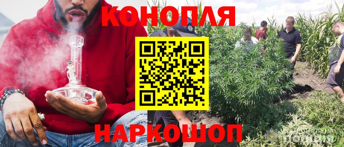 Бошки Шишки гибрид Медногорск